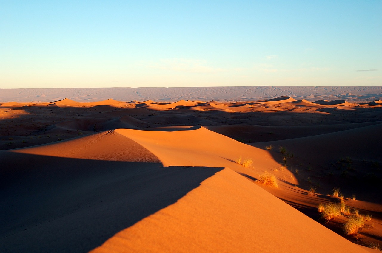 desert